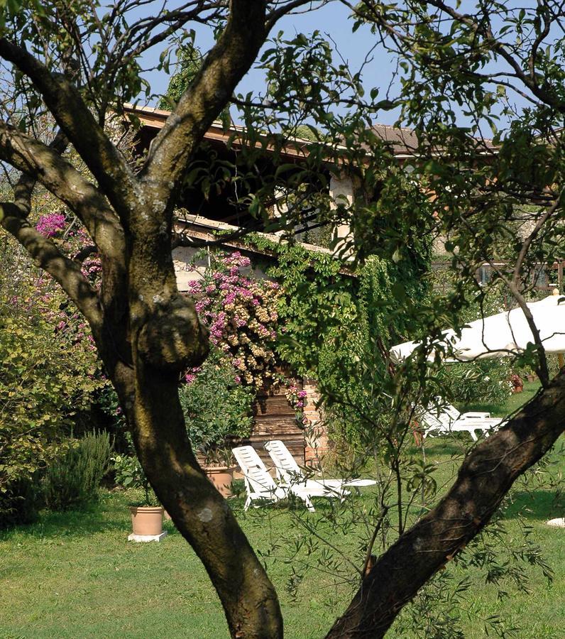 Hotel Belvedere Torri Del Benaco Buitenkant foto