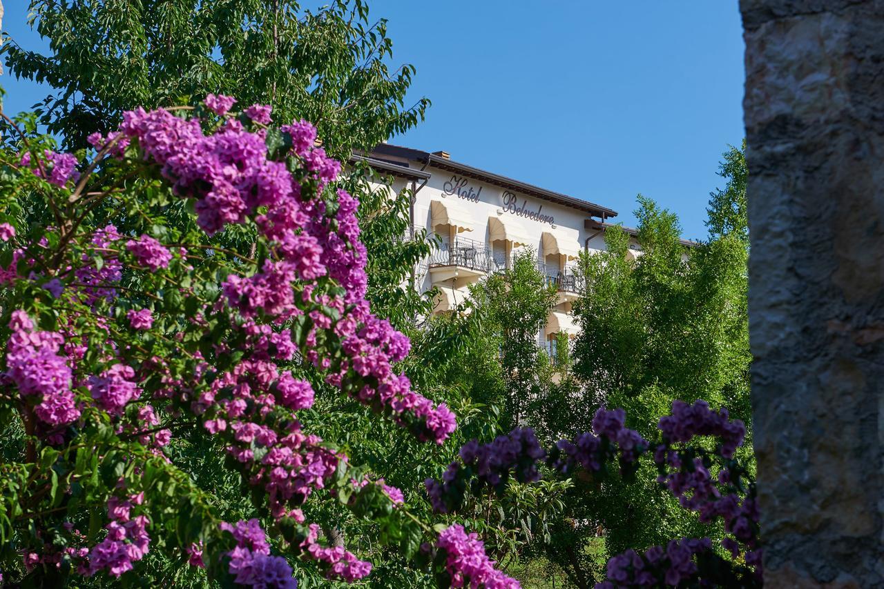 Hotel Belvedere Torri Del Benaco Buitenkant foto