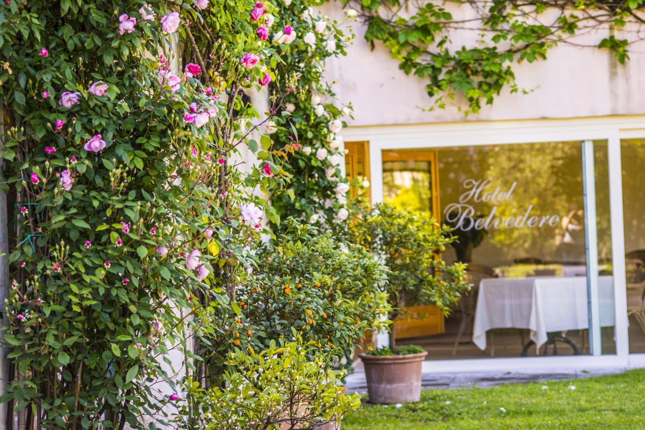Hotel Belvedere Torri Del Benaco Buitenkant foto